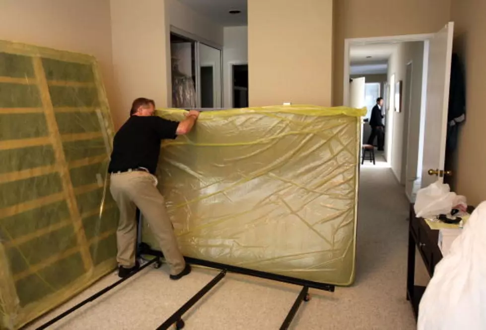 Bed Bugs in the Windy City! And Detroit…Grand Rapids…Kalamazoo…