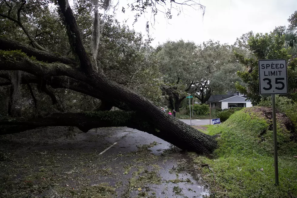 East Lansing Curbside Storm Cleanup Starts Monday
