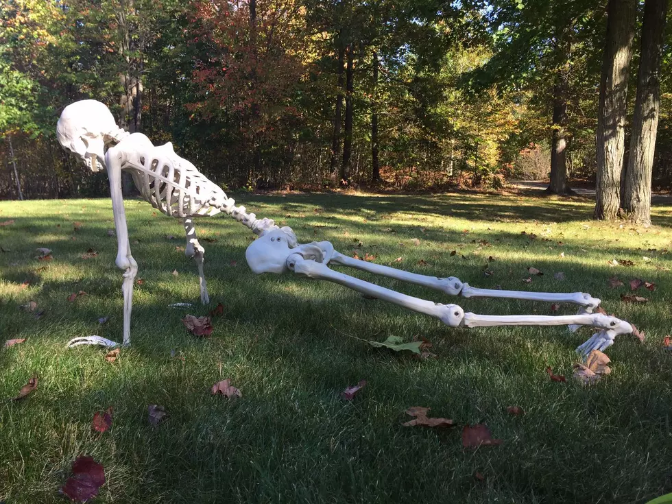 Skeleton Holding Plank Pushup