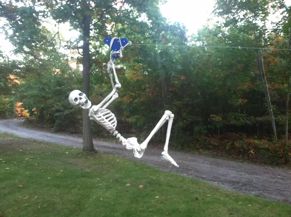 Skeleton Ziplining