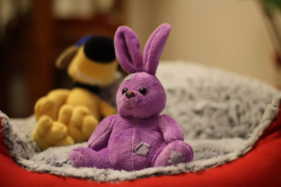 Jackson-Area Woman Finds Success Restoring Stuffed Animals