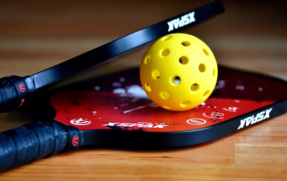 Pickleball is Becoming Huge in Michigan, What You Need to Know